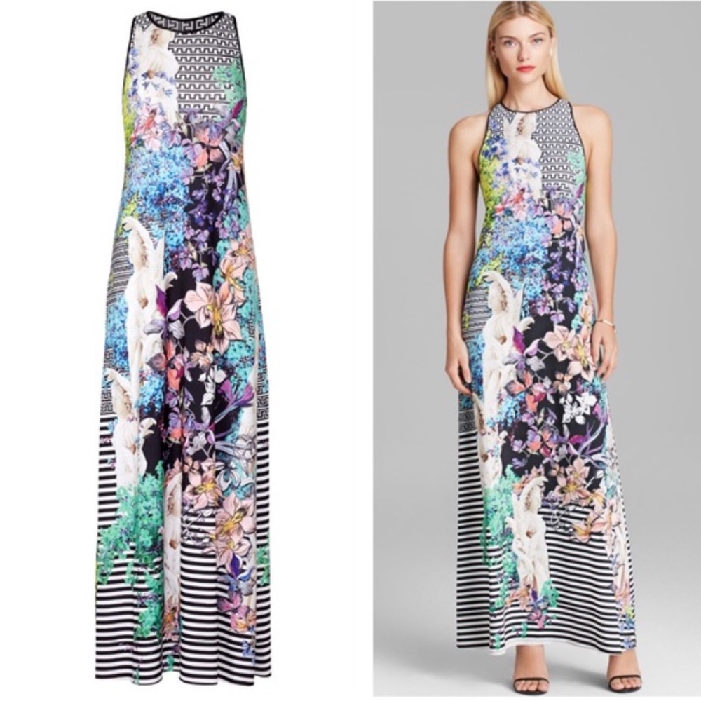Clover Canyon Enchanted Garden Jersey Maxi Dress